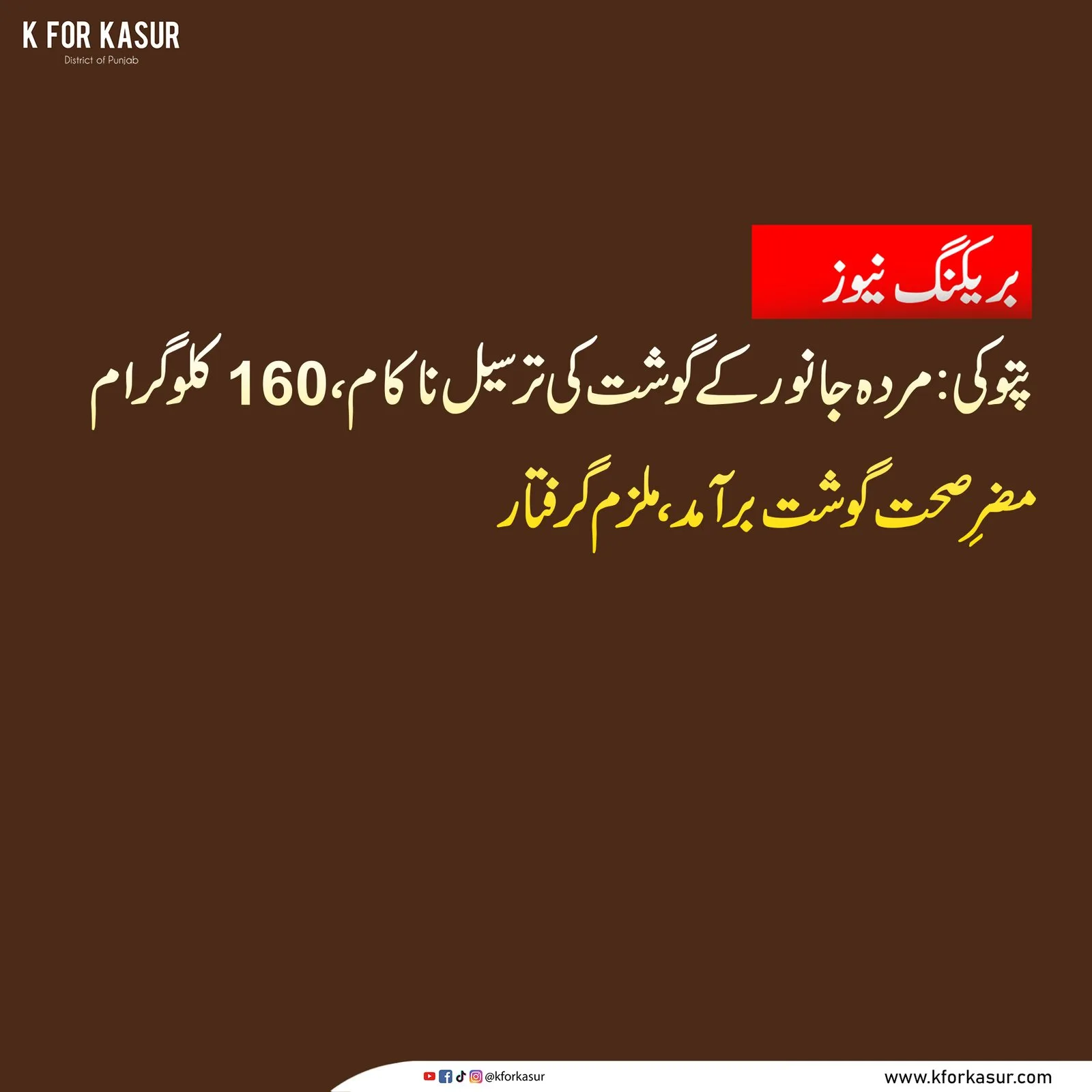 پنجاب فوڈ اتھارٹی کی کارروائی۔ تصویر: K for Kasur